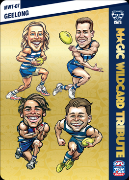 Geelong Cats, GOLD Magic Wildcard Tribute, 2024 Teamcoach AFL