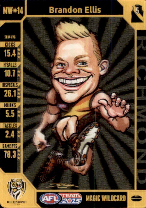 Brandon Ellis, Magic Wildcard, 2015 Teamcoach AFL