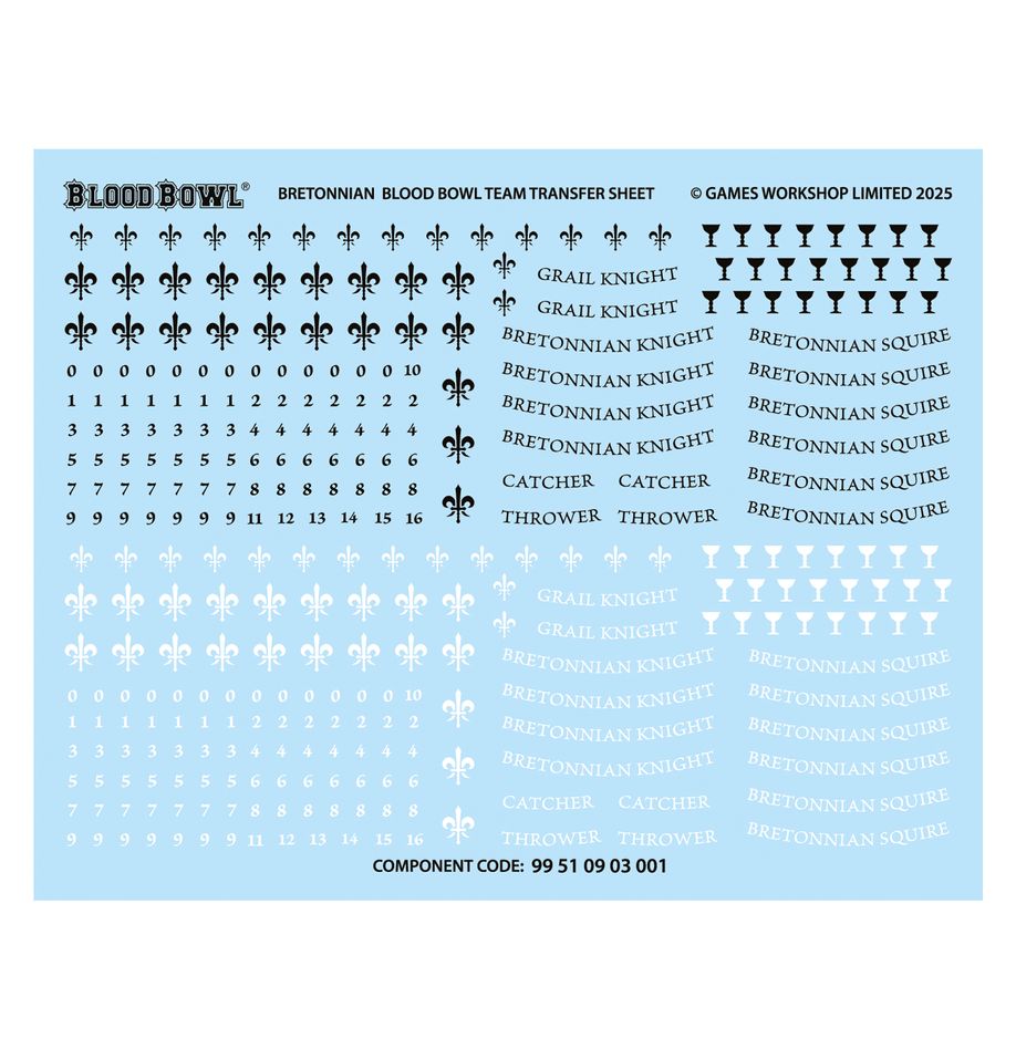 Warhammer Bretonnian Blood Bowl Team: The Brionne Barons