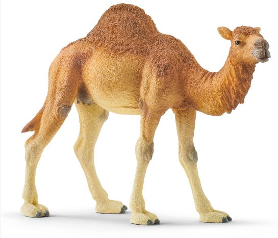 Schleich Dromedary
