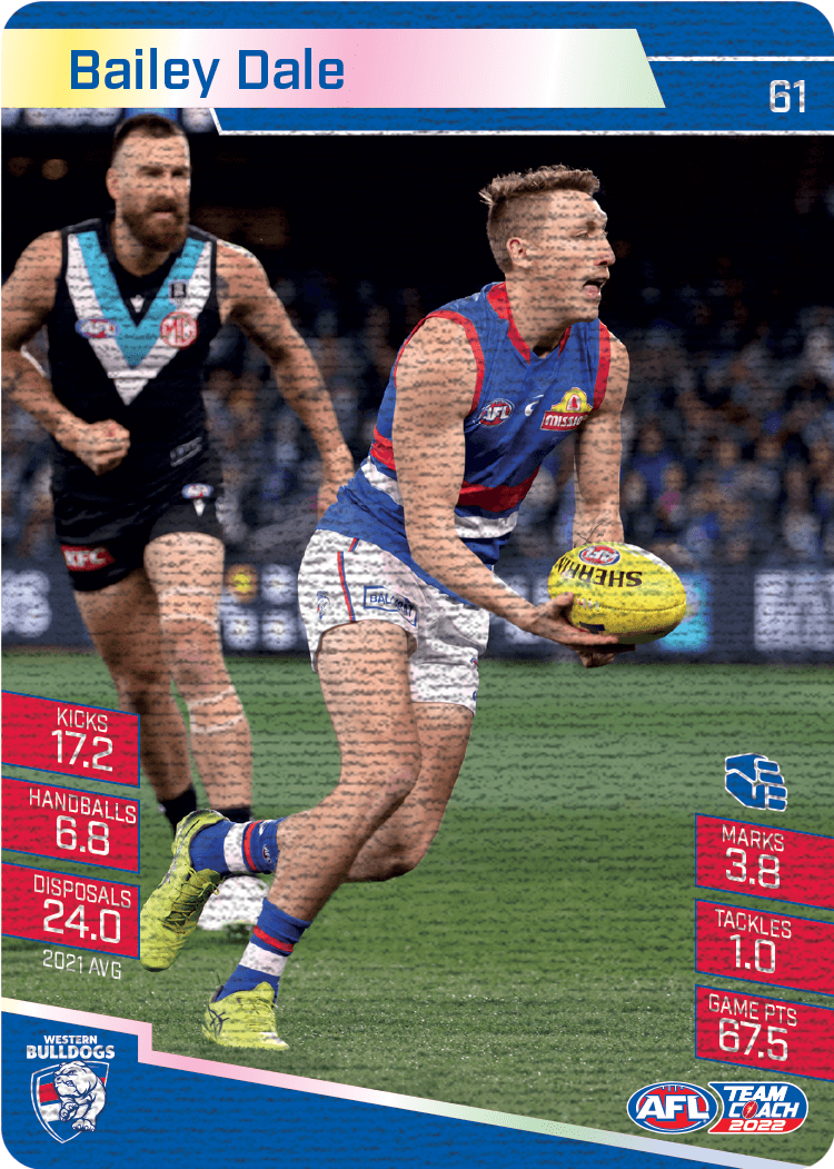 Bailey Dale, Canvas, 2022 Teamcoach AFL