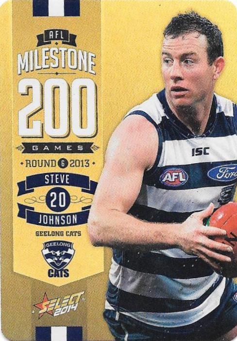 Steve Johnson, 200 Game Milestone, 2014 Select AFL Champions
