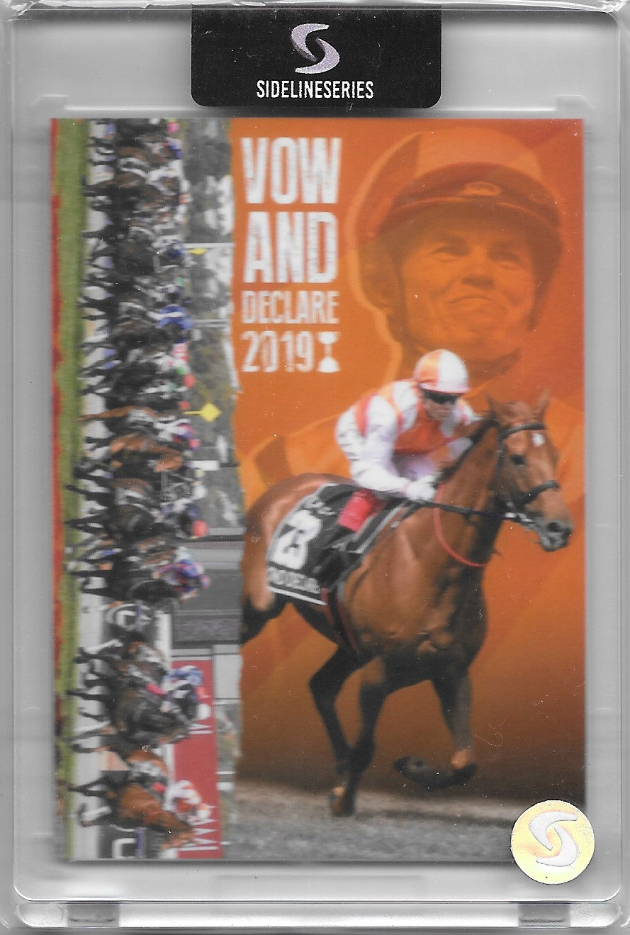 Vow And Declare 2019 Melbourne Cup Winner with Craig Williams, Sideline Series