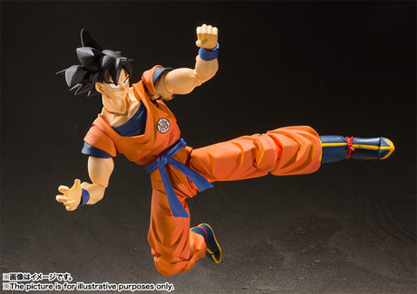 S.H.FIGUARTS Goku A Saiyan Raised On Earth (Repeat)