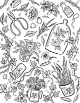 Practical Magic: The Motion Picture: The Official Coloring Book