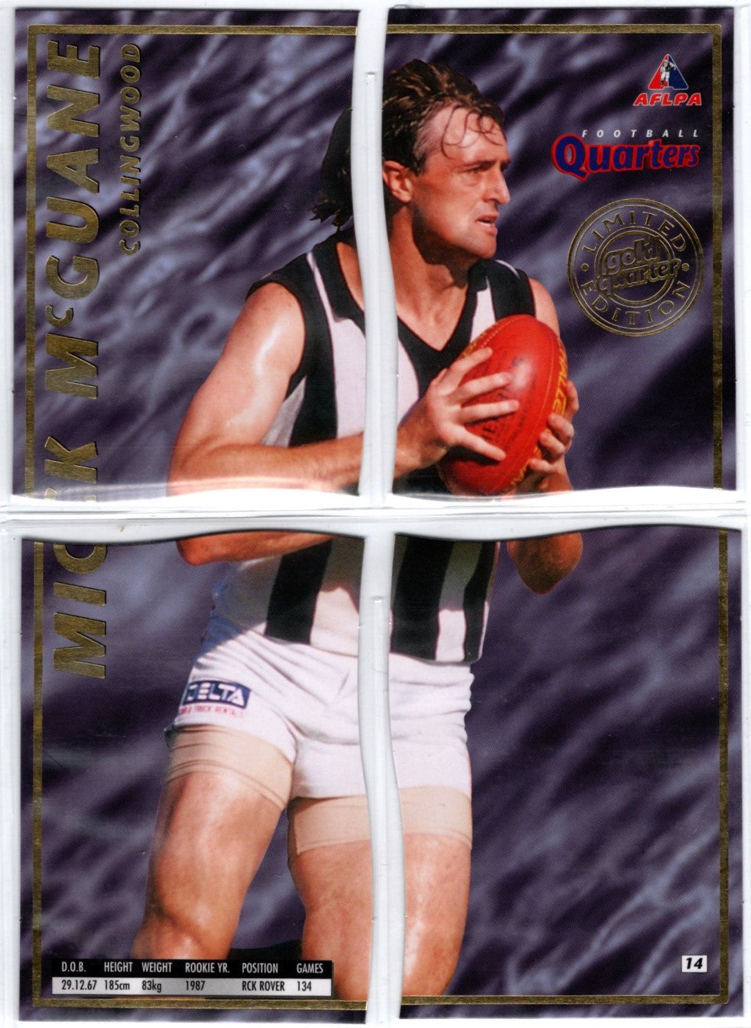 Mick McGuane, Gold Quarter, 1995 AFLPA Football Quarters