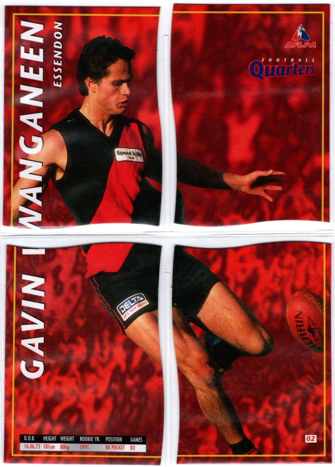 Gavin Wanganeen, 1995 AFLPA Football Quarters