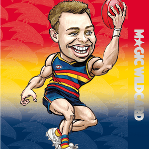 2022 AFL Teamcoach
