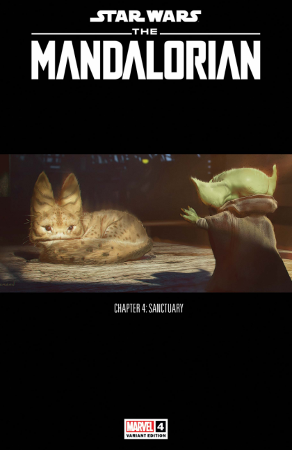 Star Wars The Mandalorian #4 Concept Art Variant Comic