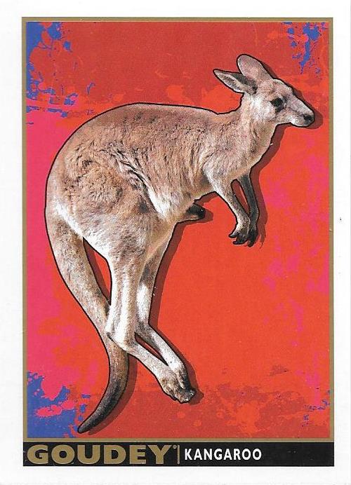 Kangaroo, Goudey, 2017 Upper Deck Goodwin Champions