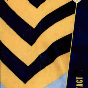 2012 Select AFL